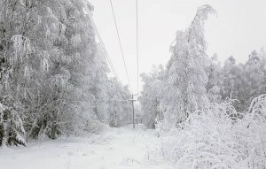 2020-laponia-05-neve