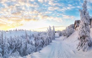 2020-laponia-ruka01