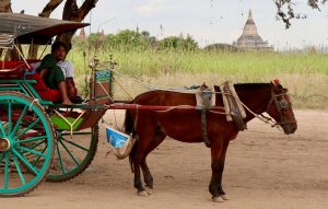 Myanmar-dia03