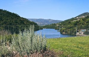 Royal-Valley-12