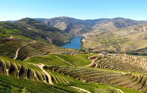Royal-Valley-14