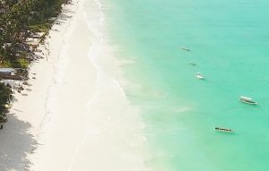 Zanzibar07