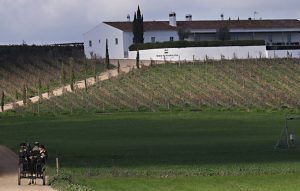 alentejo-herdade-malhadinha14