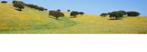 alentejo-topo