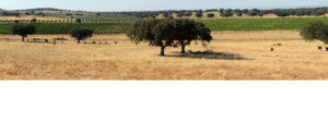 alentejo-topo02-2