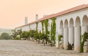 barrocal-05