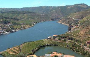 classico-douro