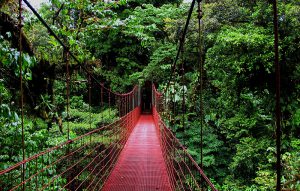 costa-rica-monteverde-07