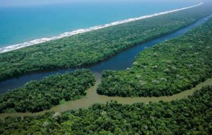 costa-rica-tortuego-02