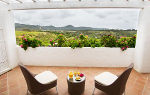 herdade-do-amarelo-06