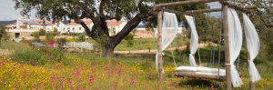 herdade-do-amarelo-topo