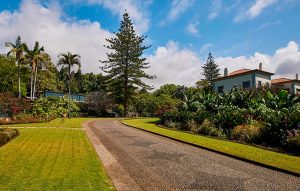 madeira-funchal-quintacasabranca-00