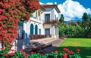 madeira-funchal-quintacasabranca-03