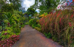 madeira-funchal-quintajardinslago-04