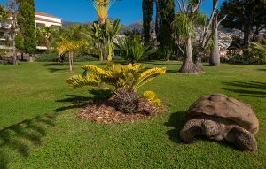 madeira-funchal-quintajardinslago-06