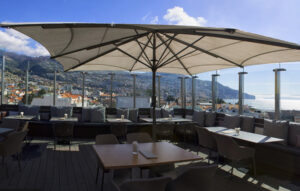 madeira-funchal-vine-00