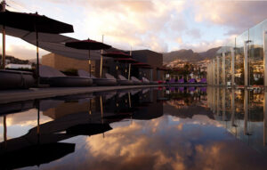 madeira-funchal-vine-09