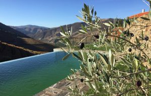 norte-douro-quinta-da-gricha-01