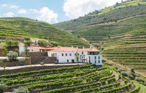 norte-douro-quinta-da-gricha-09