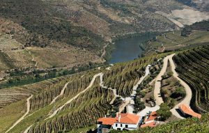 norte-douro-quinta-da-gricha-14