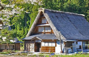 suganuma