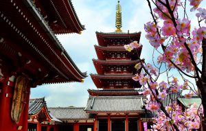 toquio-sakura-in-japan