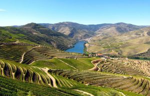 vinho-douro-valley