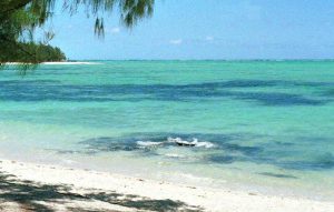 zanzibar01